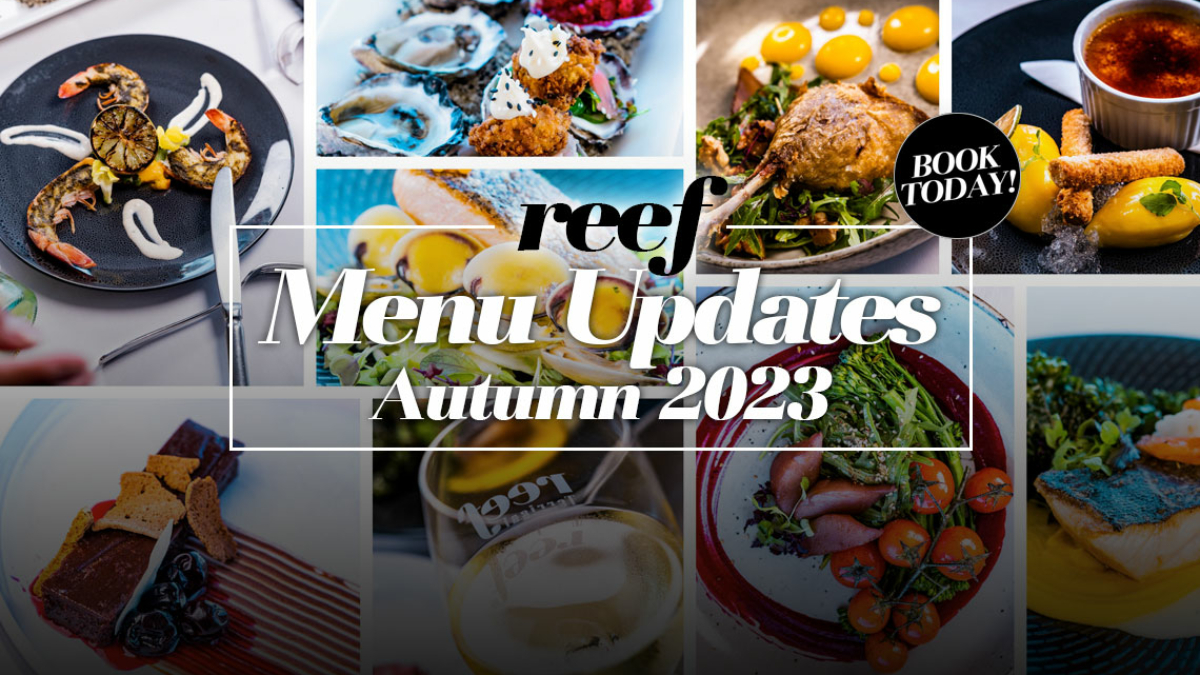 Autumn_Update_Post