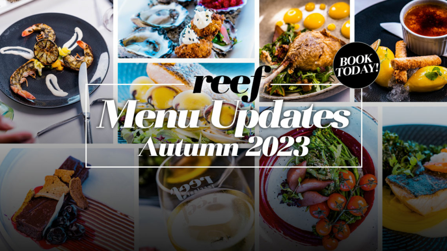 Autumn_Update_Post
